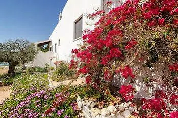 Quinta Do Lagar - By Portugalferias Guest House Albufeira